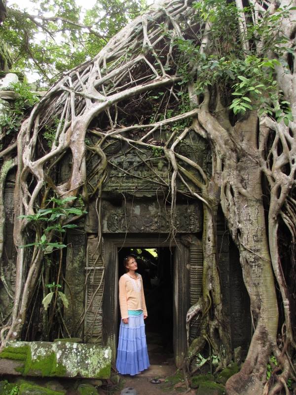 cambodia sara doorway tree roots